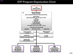 STP Orgainzation Chart