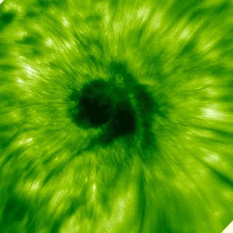 Scientists analyzed sunspot images from a trio of observatories - including the Big Bear Solar Observatory, which captured this footage - to make the first-ever observations of a solar wave traveling up into the sun's atmosphere from a sunspot.
